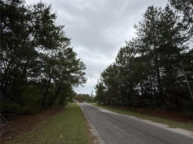 Land for sale in Ocklawaha, Florida