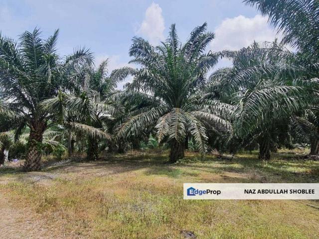 Shop for sale in Rembau, Negeri Sembilan