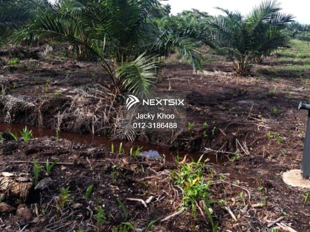 Property for sale in Banting, Selangor