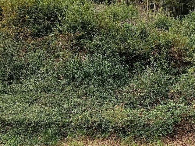 Terrain vente à Brive-la-Gaillarde, Malemort-sur-corrèze