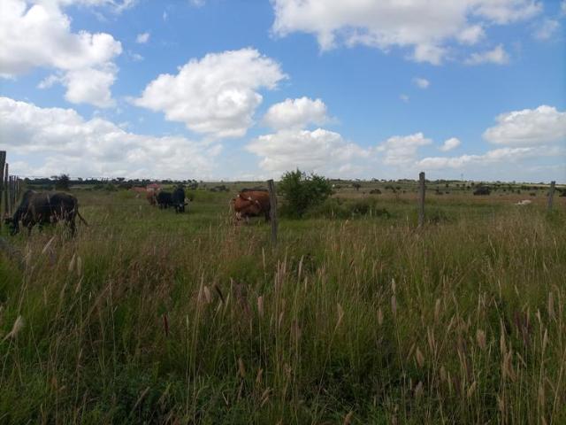 Land for sale in Machakos Town, Machakos