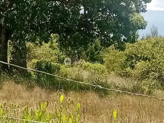 Land for sale in Kilifi