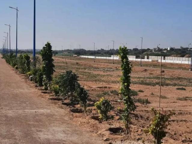 Land for sale in North Waziristan, Federally Administered Tribal Areas fata