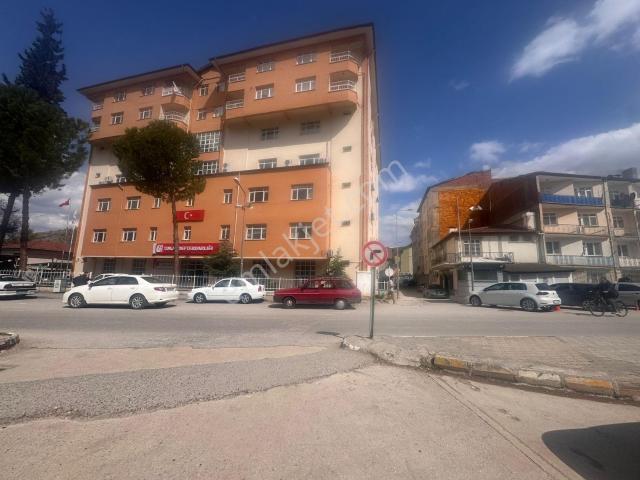 Tokat Merkez, Tokat içerisinde kiralık mülk