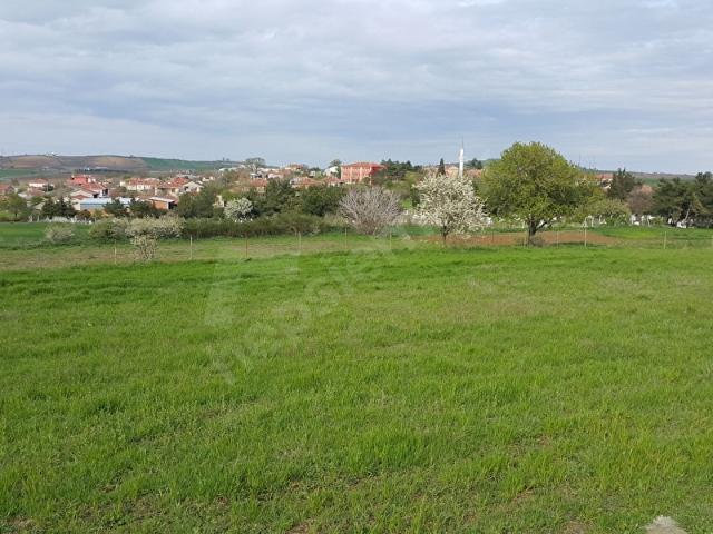 Çeşmeli Mahallesi, Marmaraereğlisi içerisinde satılık Arsa