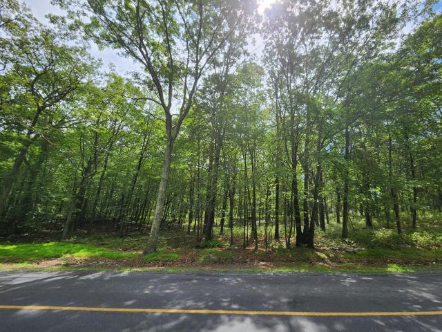 Land for sale in Dingmans Ferry, Pennsylvania