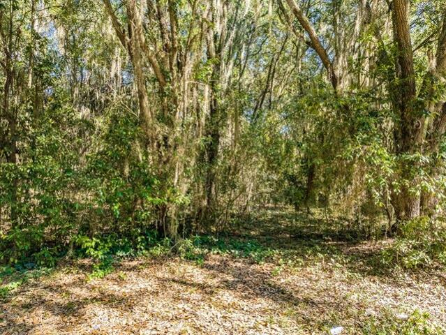 Land for sale in Barnwell