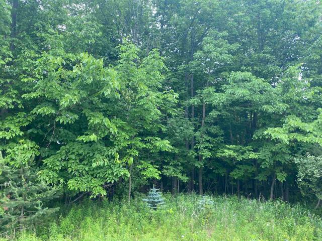 Land for sale in Alger