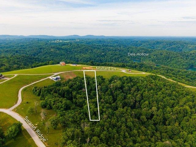 Land for sale in Tennessee