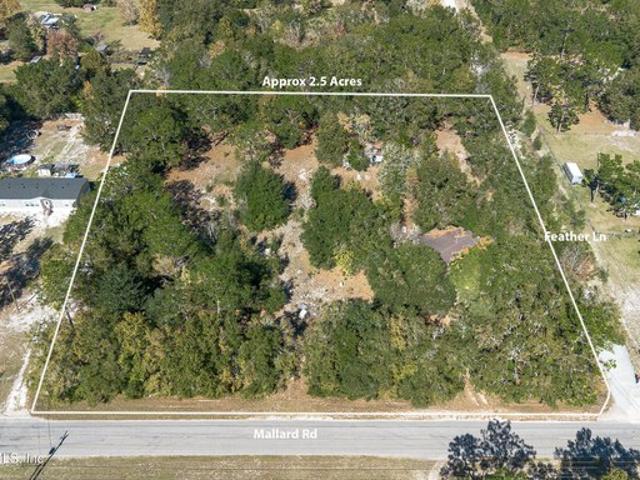 Land for sale in Middleburg, Florida