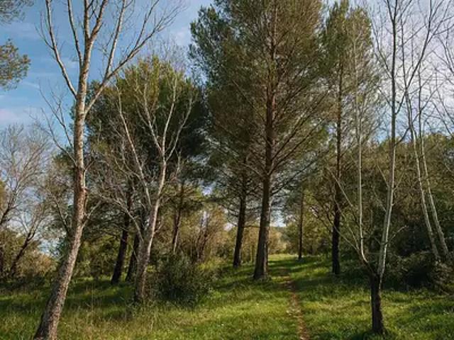 Terrain vente à Aix-en-Provence, Mallemort