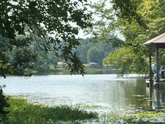 Land for sale in Alpine, Alabama