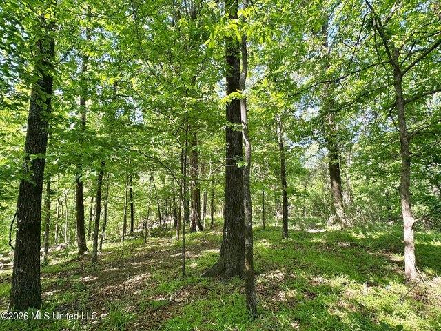 Land for sale in Carrollton, Mississippi