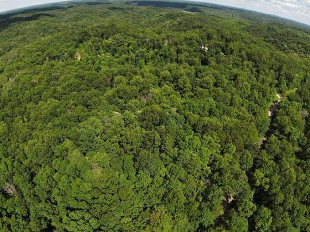 Land for sale in Vinton, Ohio