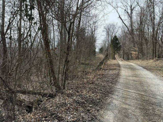 Land for sale in Albany, Kentucky
