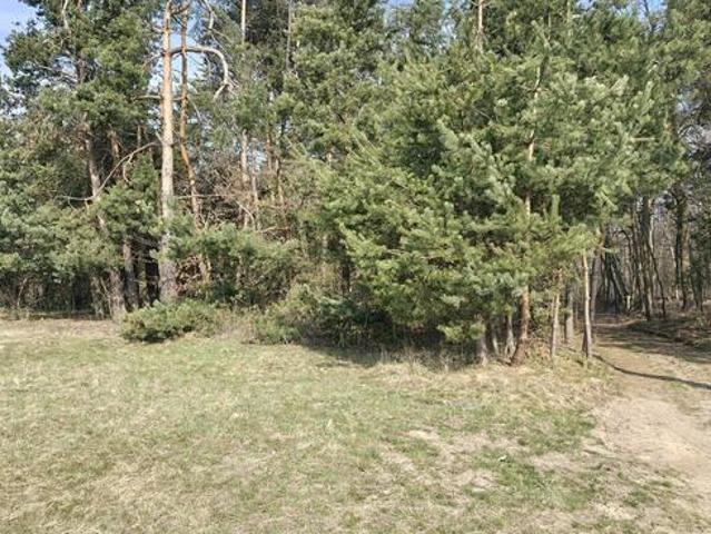 Grunt na sprzedaż w Skrzyszów, Małopolskie