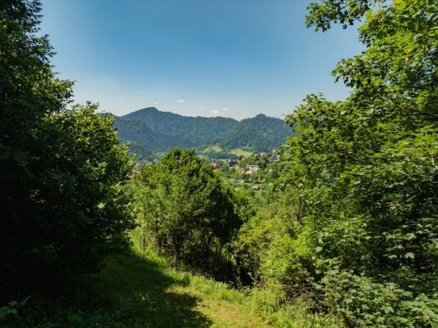 Grunt na sprzedaż w Szczawnica, Małopolskie
