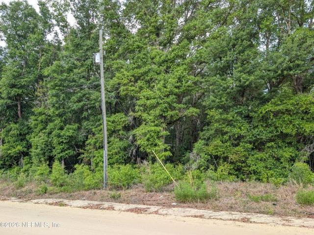 Land for sale in Interlachen, Putnam County