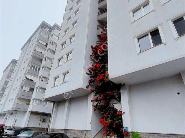Maltepe, İstanbul içerisinde kiralık mülk