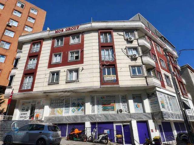 Maltepe, İstanbul içerisinde kiralık mülk