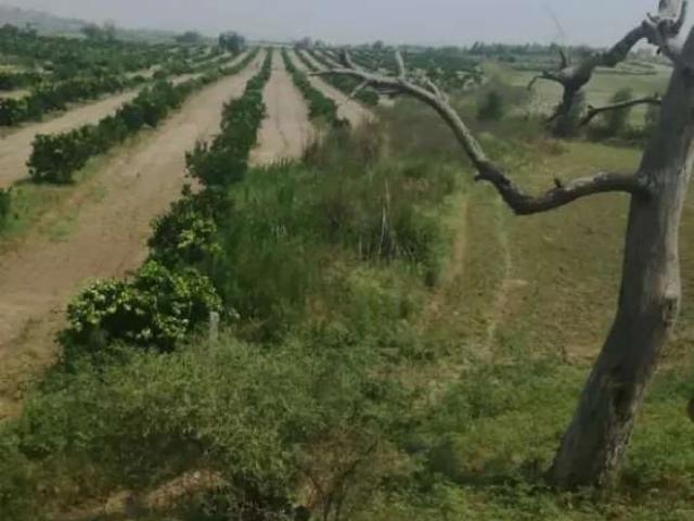 Land for sale in تحصیل پشاور شہر, پشاور ڈویژن