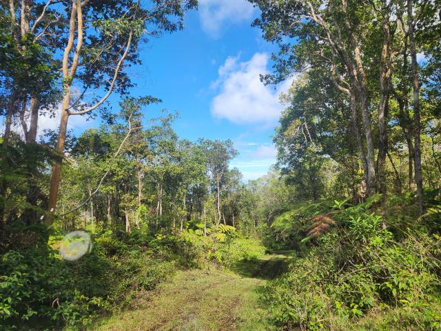 Land for sale in Hawaii