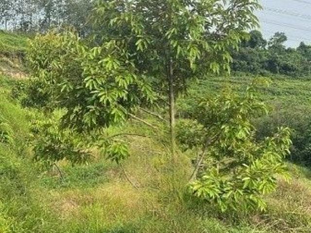 Shop for sale in Sendayan Village, Negeri Sembilan