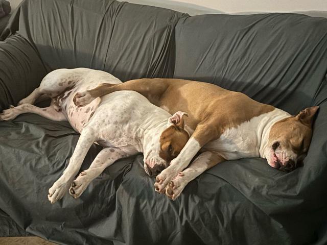 Room for rent in Melbourne