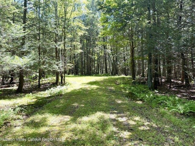 Land for sale in Kingston Land for sale in Kingston