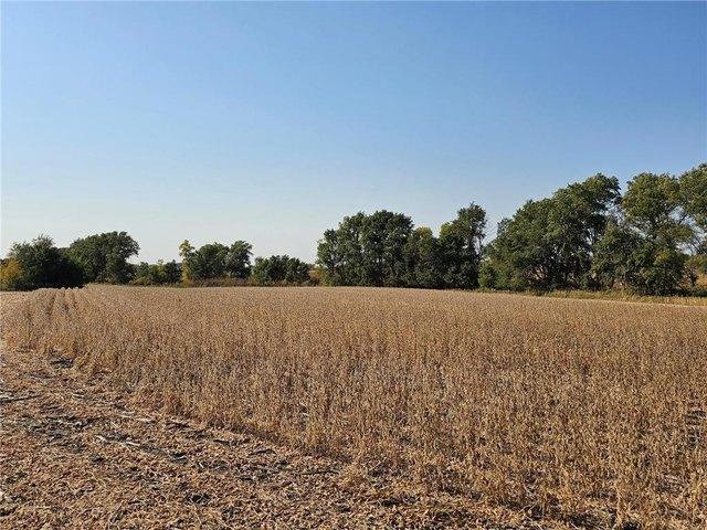 Land for sale in Pennock, Minnesota