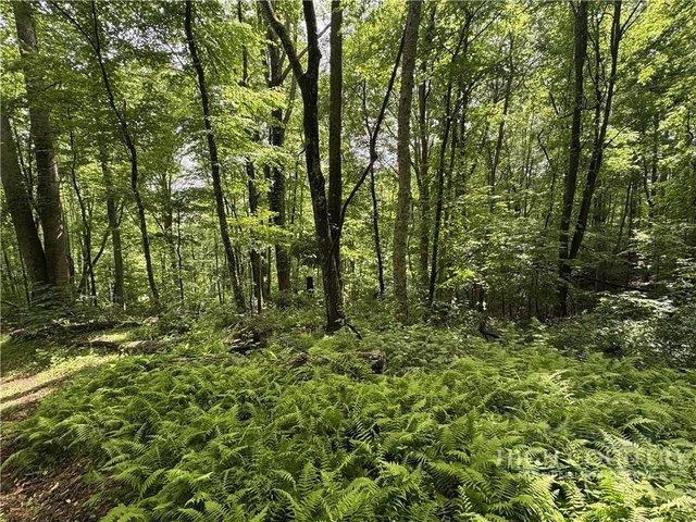 Land for sale in Watauga, North Carolina