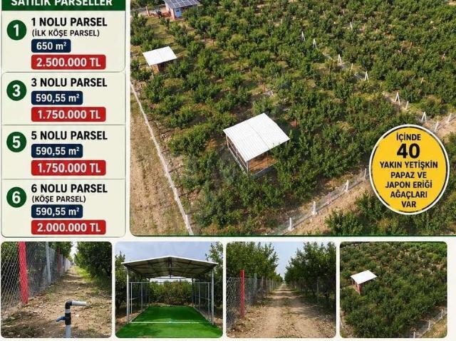 Urganlı, Turgutlu içerisinde satılık mülk