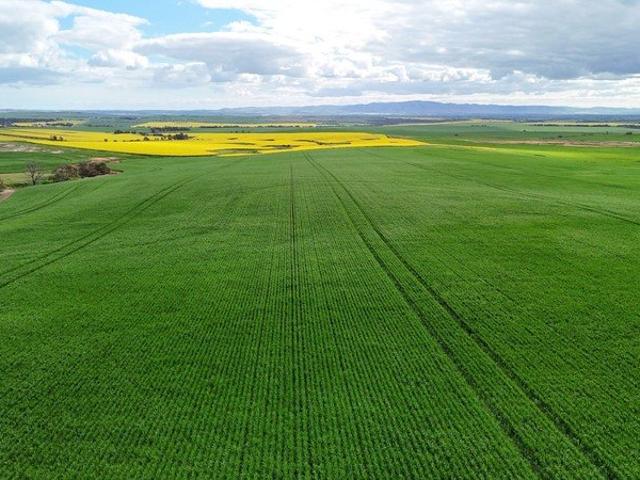 Cottage for sale in Pekina, South Australia
