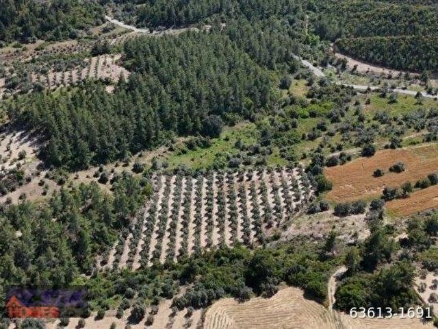 Manavgat, Antalya içerisinde satılık Arsa