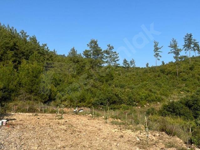 Manavgat, Antalya içerisinde satılık Arsa