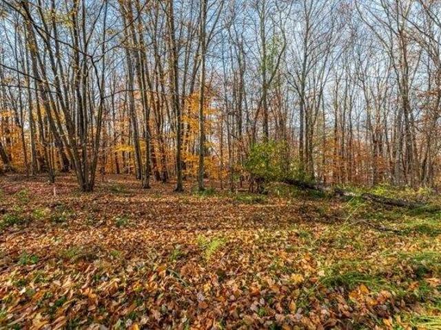 Land for sale in Bennington, Vermont