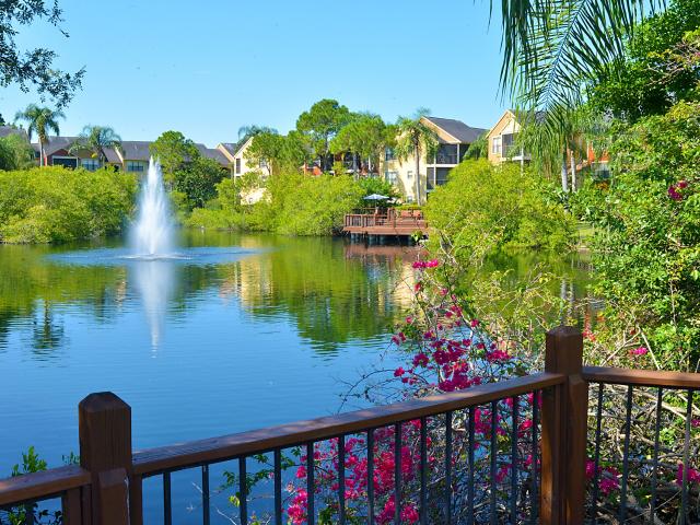 Apartment for rent in Saint Petersburg, Florida