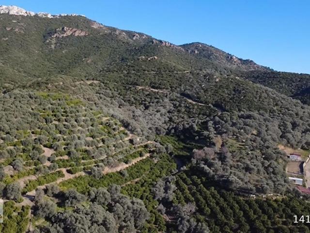 Menderes, İzmir içerisinde satılık Arsa