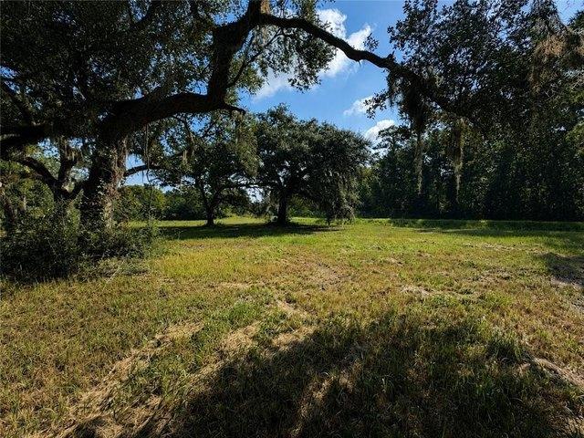 Land for sale in Lacombe, Louisiana