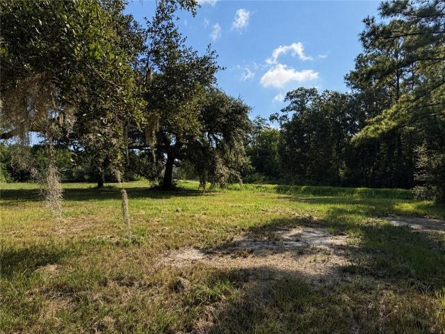 Land for sale in Lacombe, Louisiana
