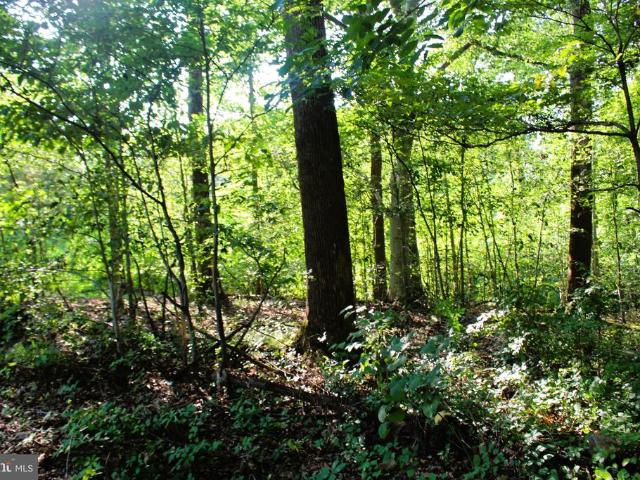 Land for sale in Joppa, Maryland