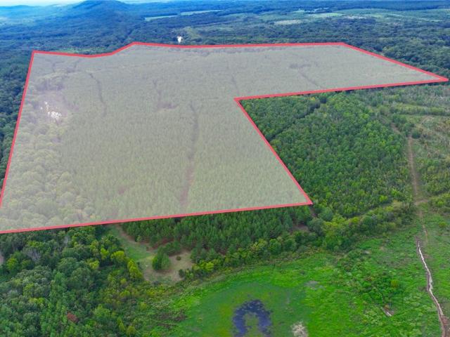 Land for sale in Ark