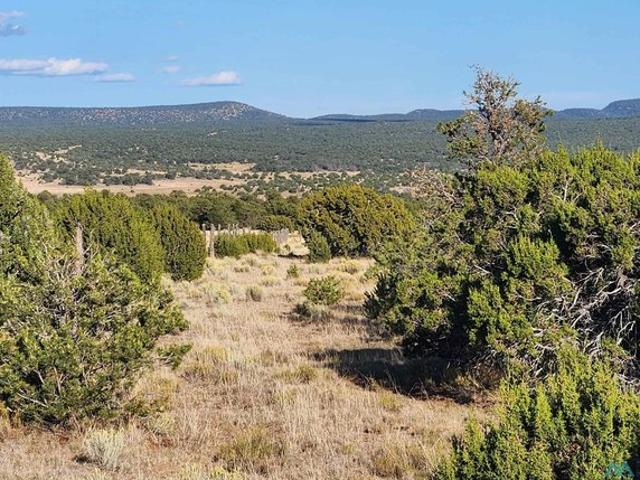 Land for sale in Catron, New Mexico