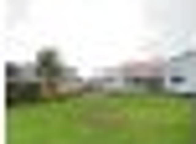Apartment for rent in Mangawai, Northland
