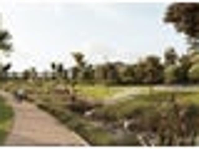 Land for sale in Mangawai, Northland