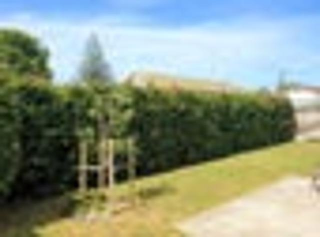 House for rent in Owhata, Oroua County