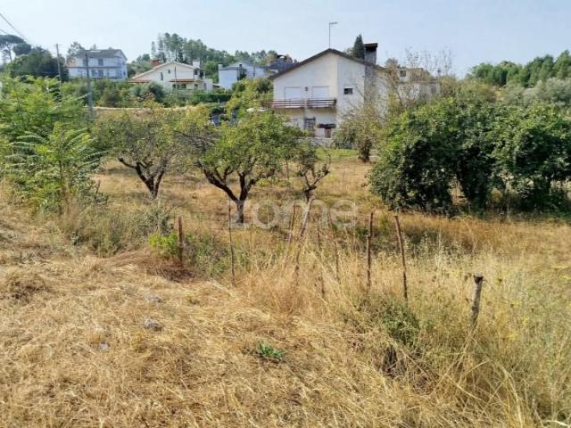 Terreno venda em Mourilhe, Viseu