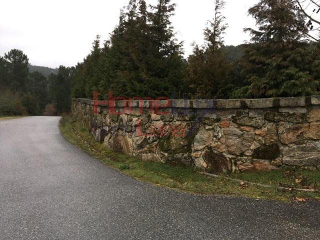 Terreno venda em Mourilhe, Viseu