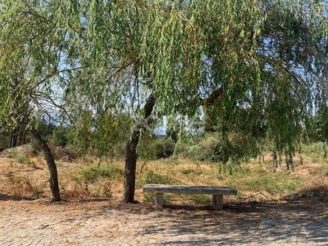 Terreno venda em Mourilhe, Viseu