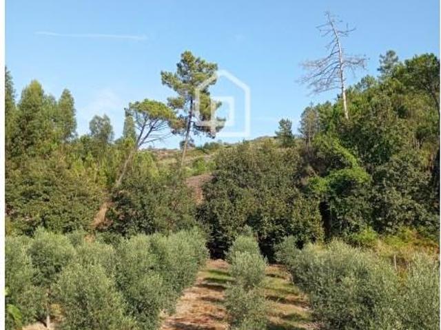 Terreno venda em Mourilhe, Viseu